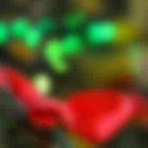 Tannenzweig mit roter Schleife, im Hintergrund grüne Lichter